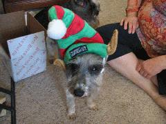 Heather 2006 - IMG_2177.jpg Heather 2006 - IMG_2177.jpg